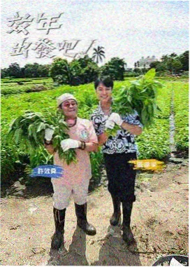 成年人免费电影 这个杀手不太冷